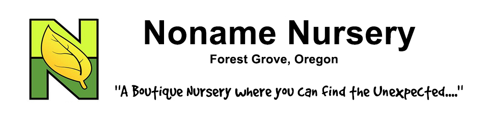 Noname Nursery
